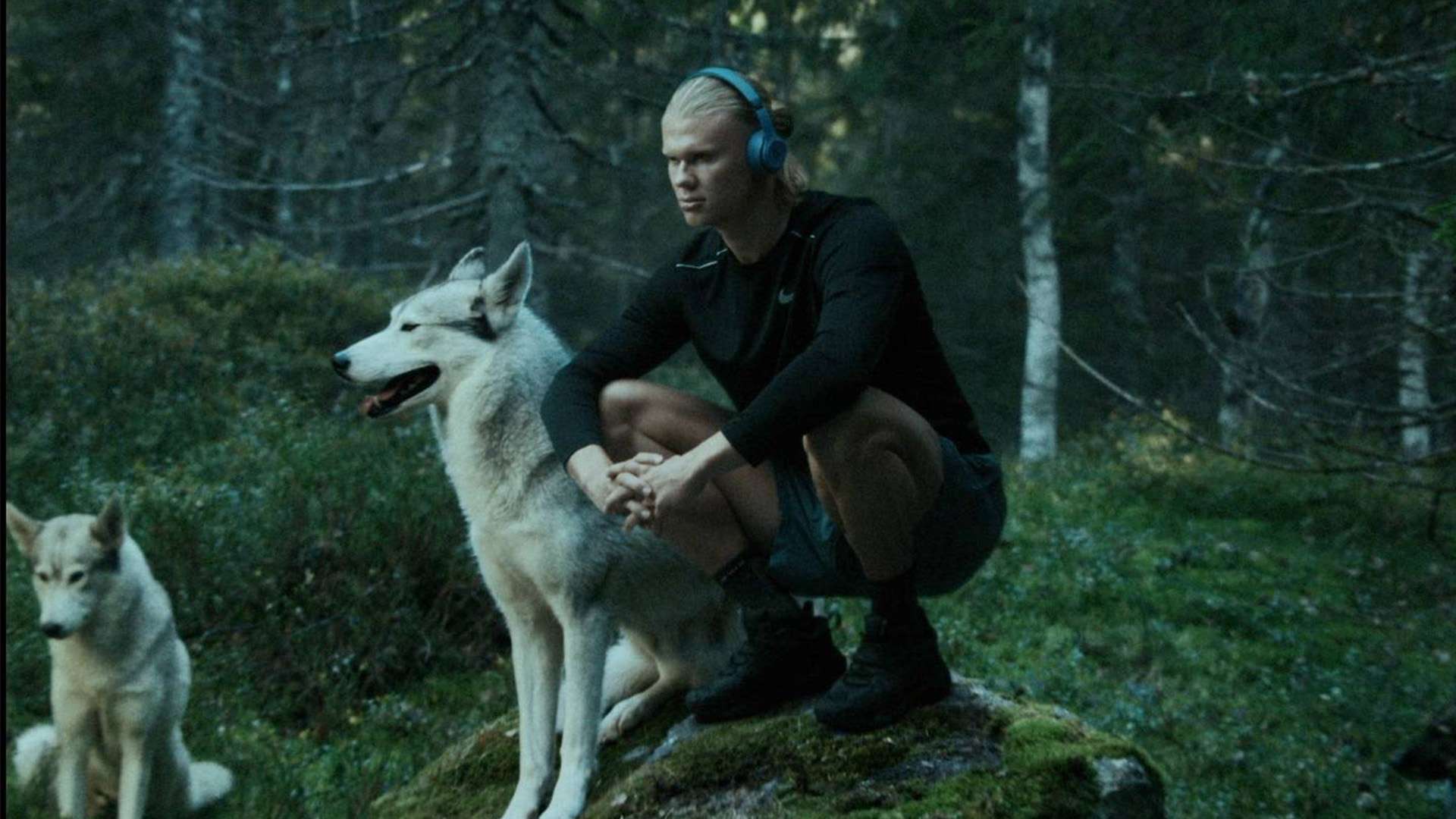 气温骤降 气温骤降