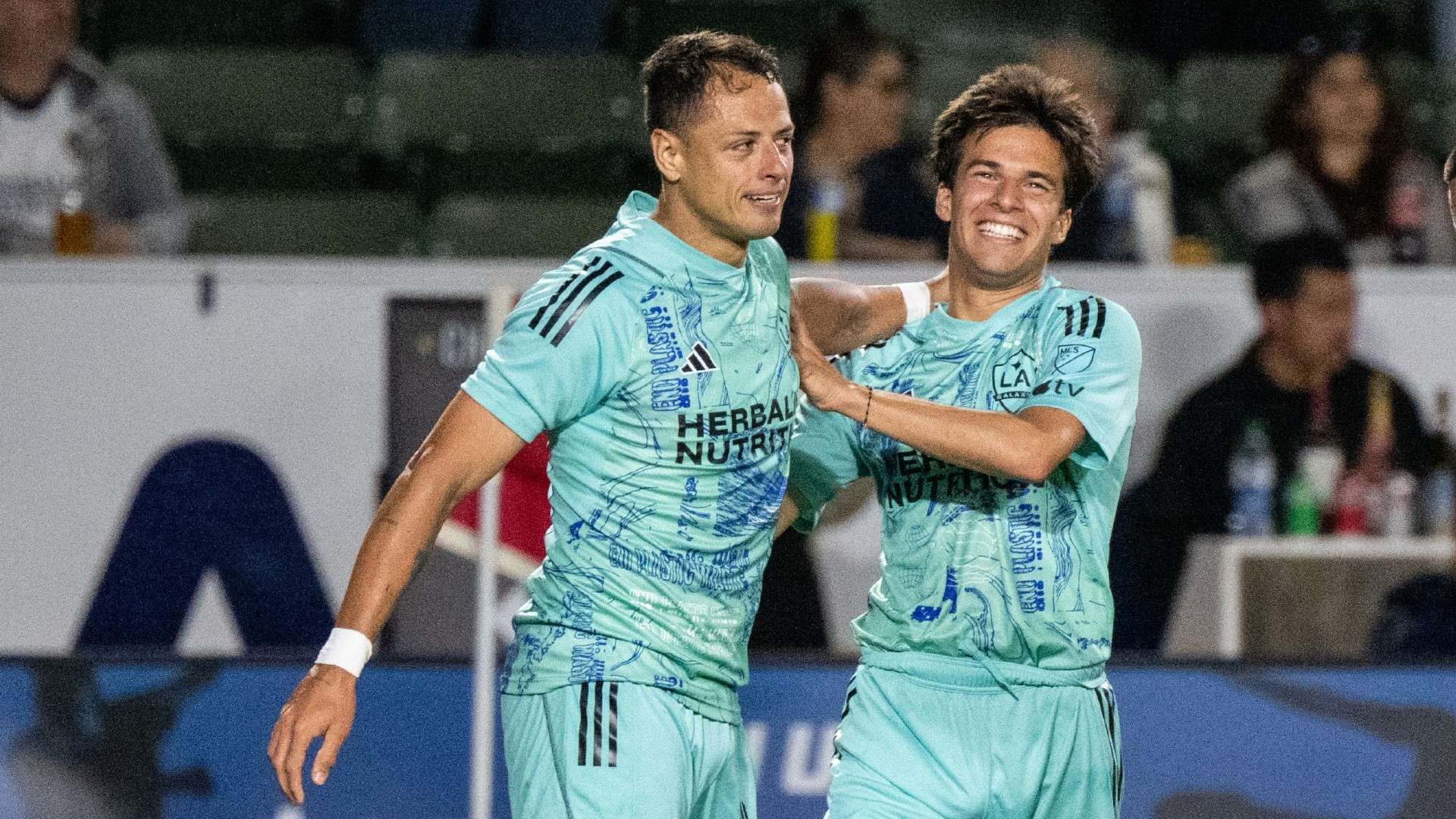 复杂的动态 复杂的动态